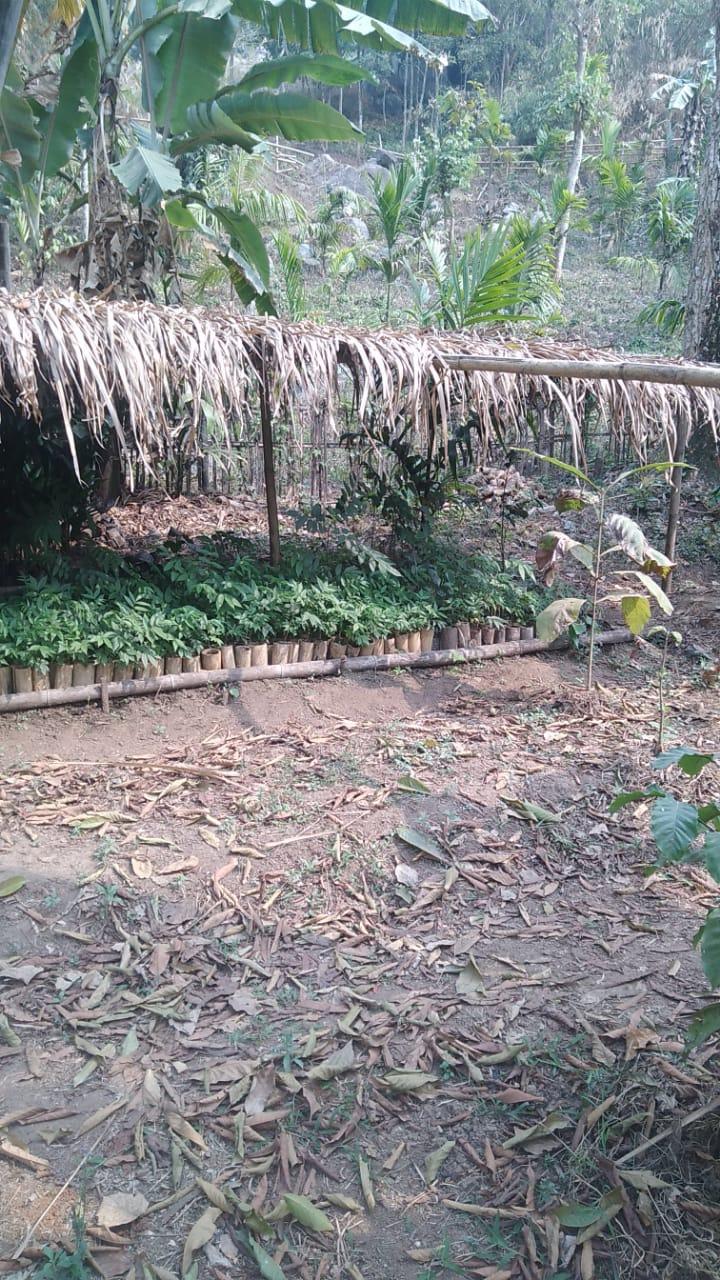 C:\Users\Lavinia Pde\AppData\Local\Microsoft\Windows\INetCache\Content.Word\IMG-20220418-WA0012.jpg